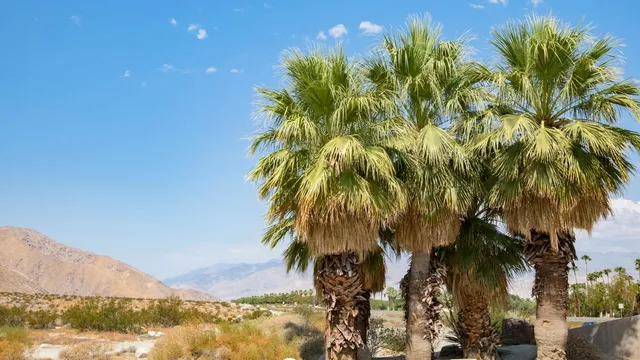 Palm Springs, California